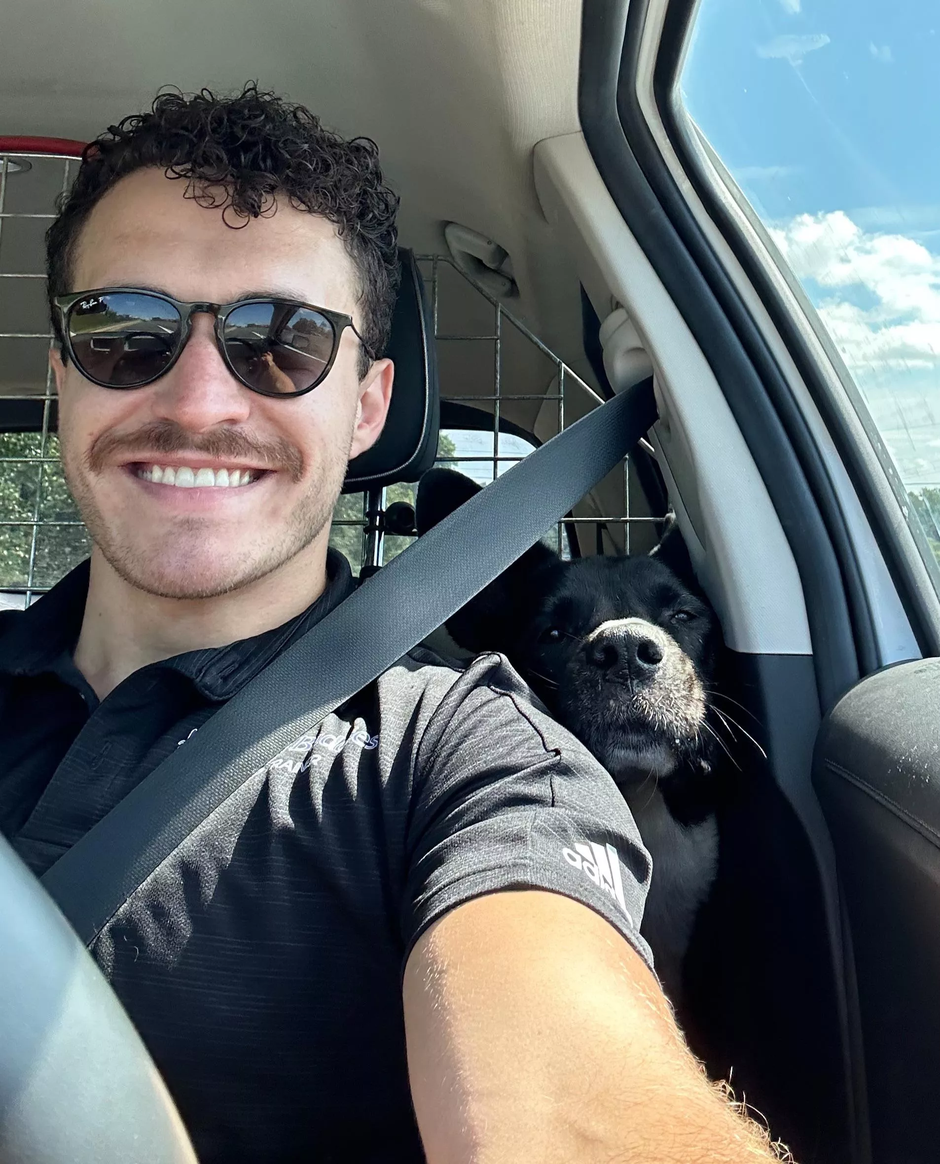 Baloo says thanks for all the love yesterday! posted by DogTrainerArk