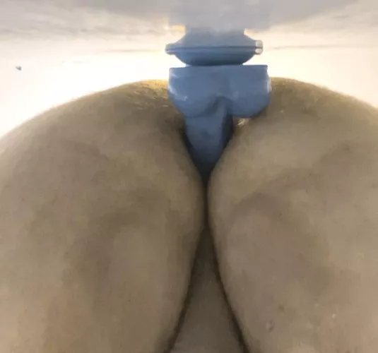 Breed me? by Bigdickster1