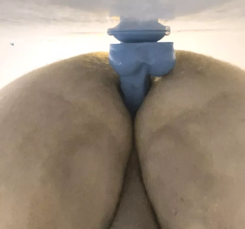 Breed me? posted by Bigdickster1