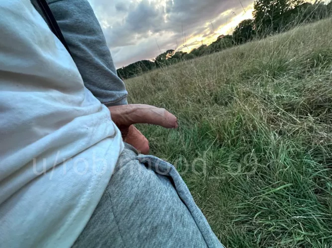 Capturing the Magic: Bird and the Setting Sun :-) by Robinhood_69