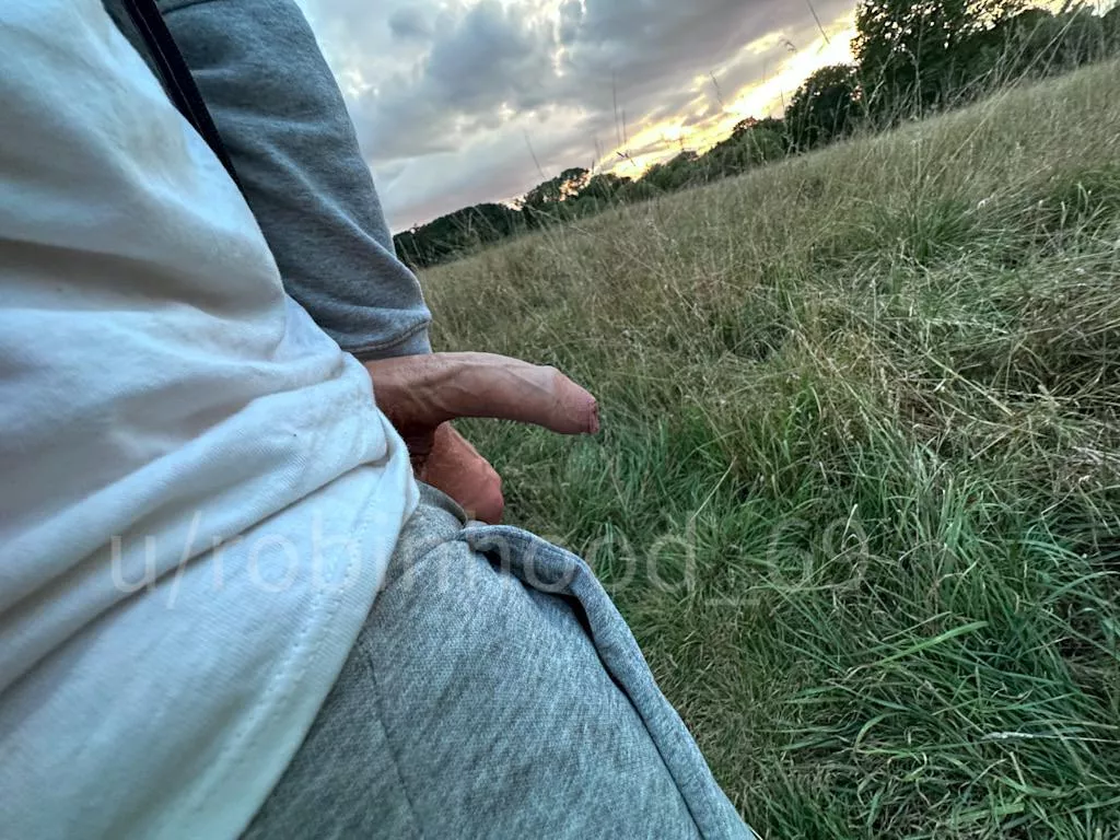 Capturing the Magic: Bird and the Setting Sun :-) posted by Robinhood_69