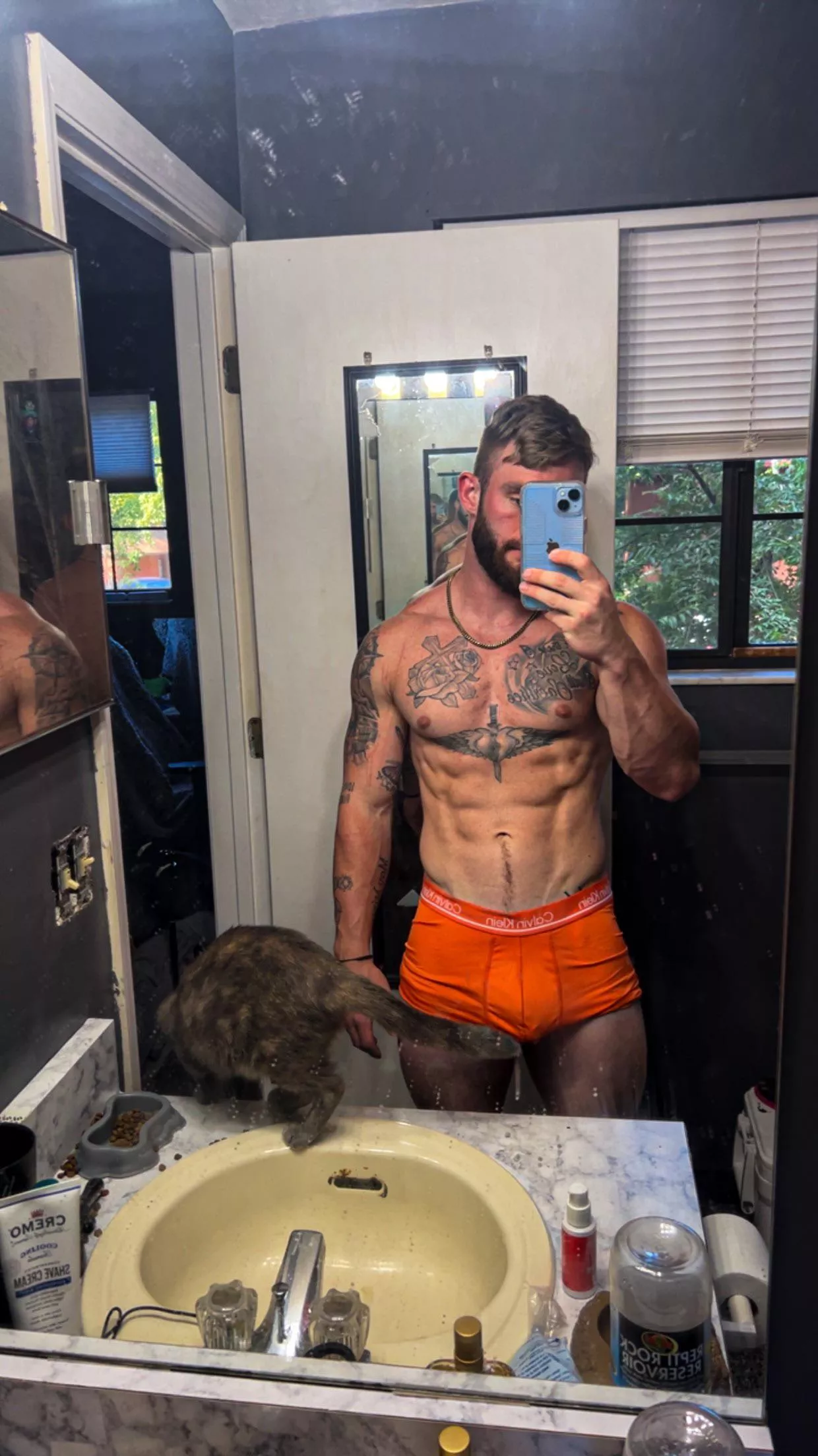 cat got your tongue? posted by jay_jizzzzz