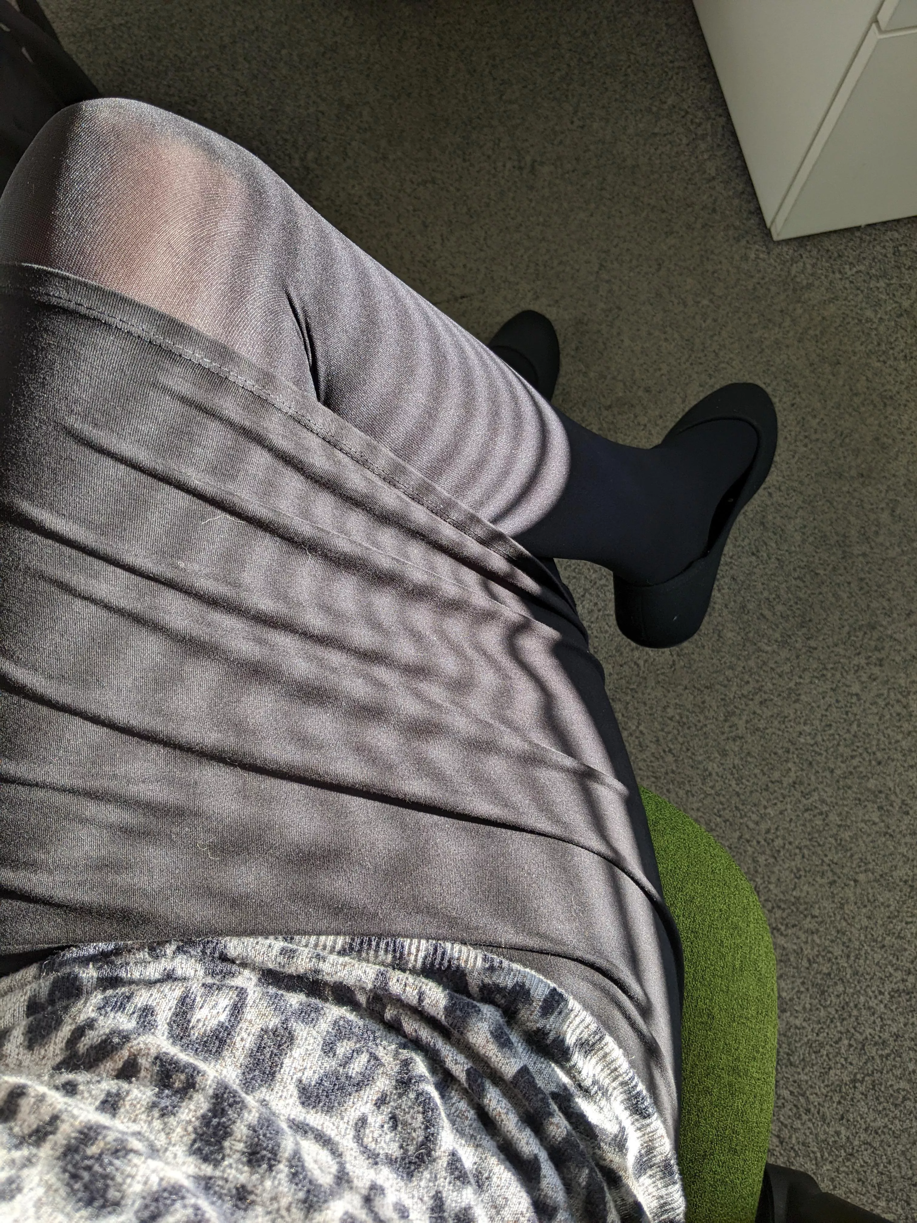 Enjoying the morning sun at the office posted by lonely_chameleon_