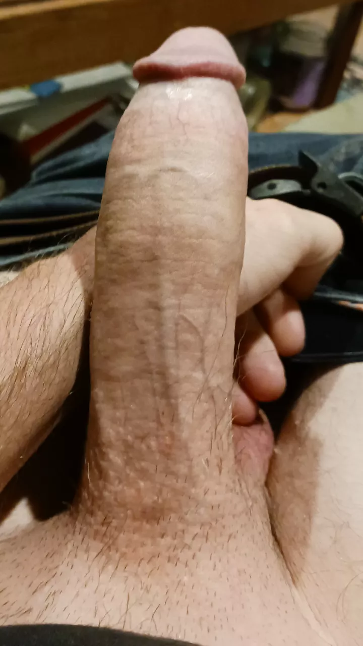 First time posting, what do you think? posted by anewlevel82