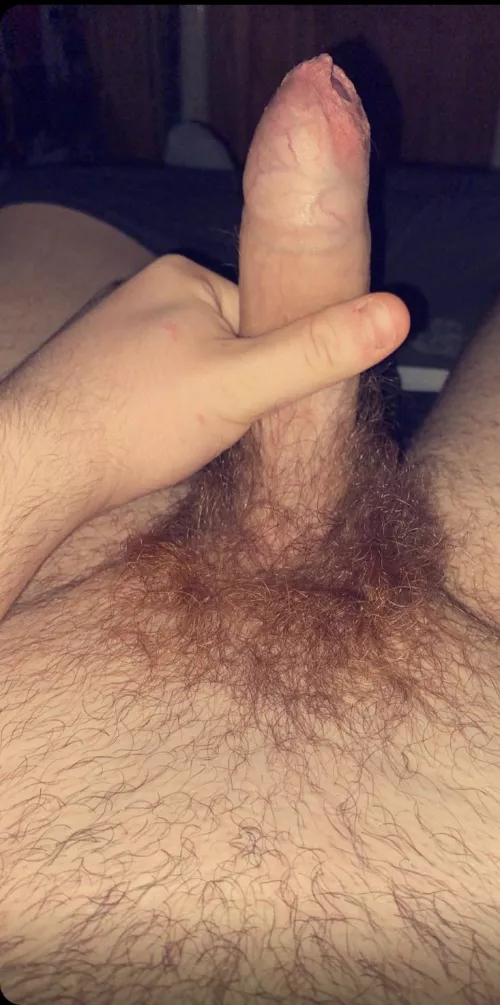 Hairy uncut looking for the same snap/rjackson078 by rpriv42