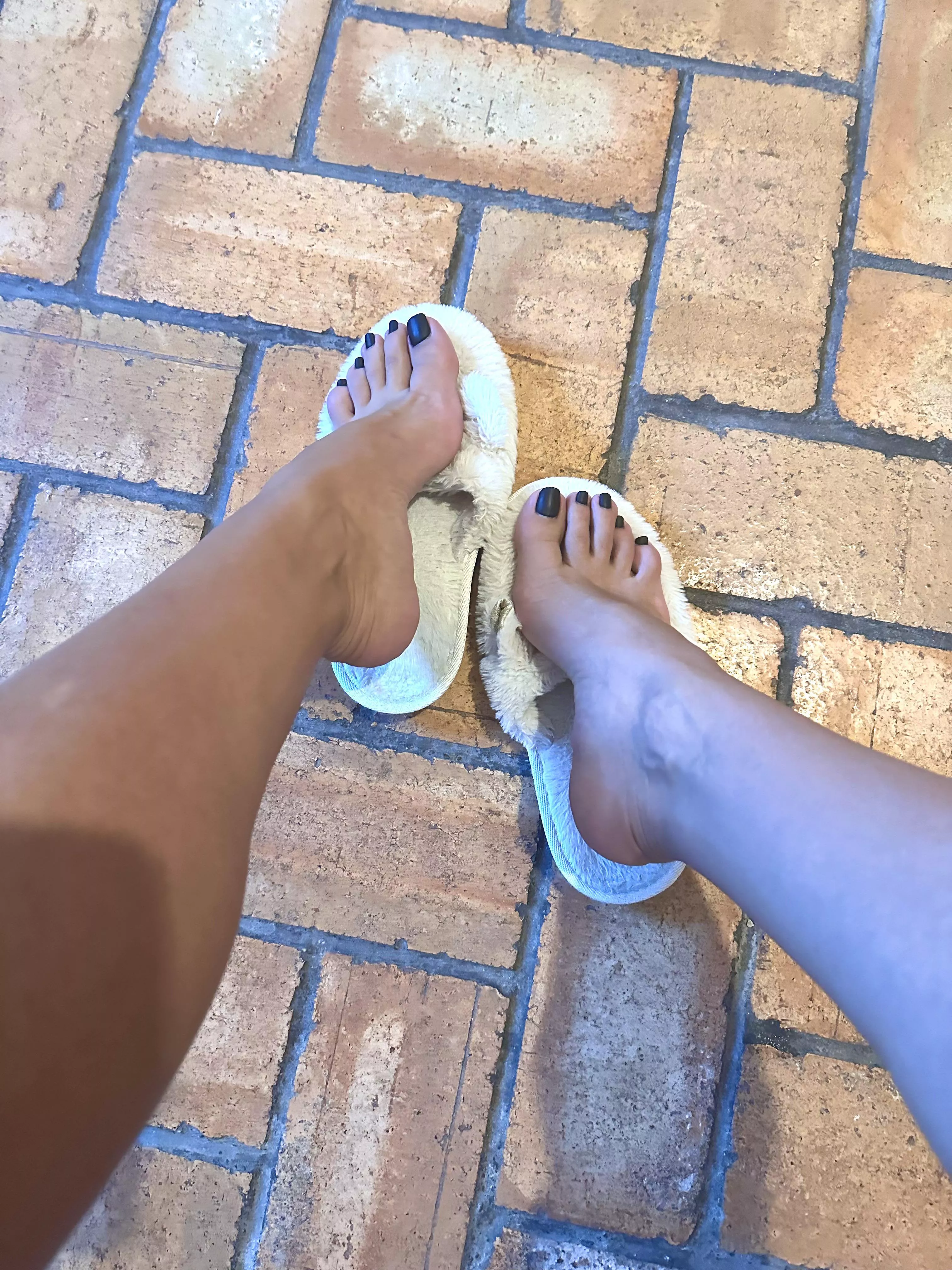 I love them [oc] posted by SadlyEthical