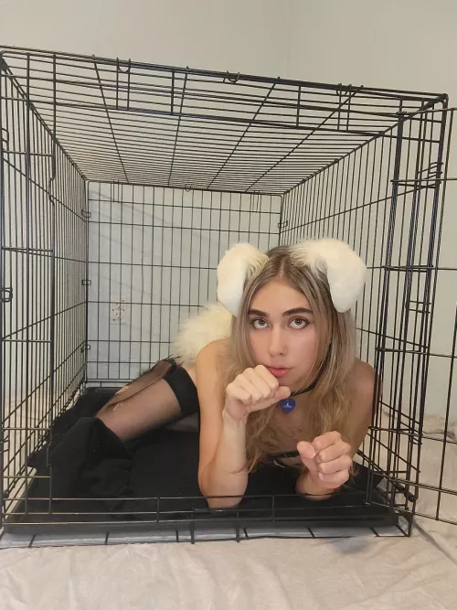 Just trying to melt your heart ❤️ by Fairypeachy