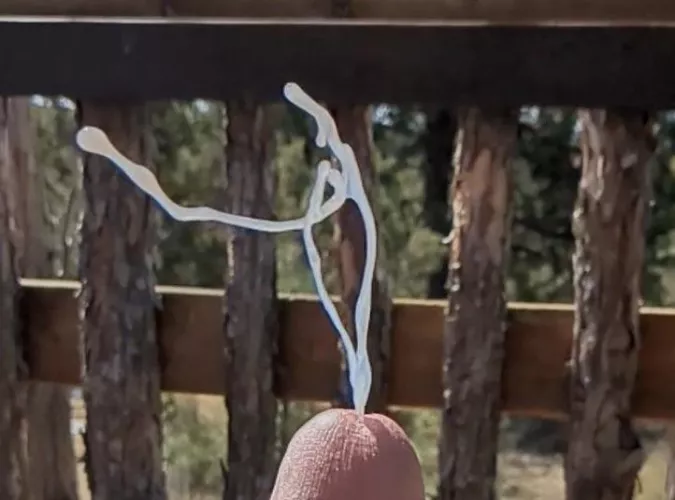 Perfect shot by Cowboyinalaska