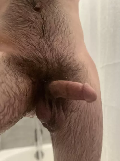 Should I keep the bush? by PsychologicalSweet6