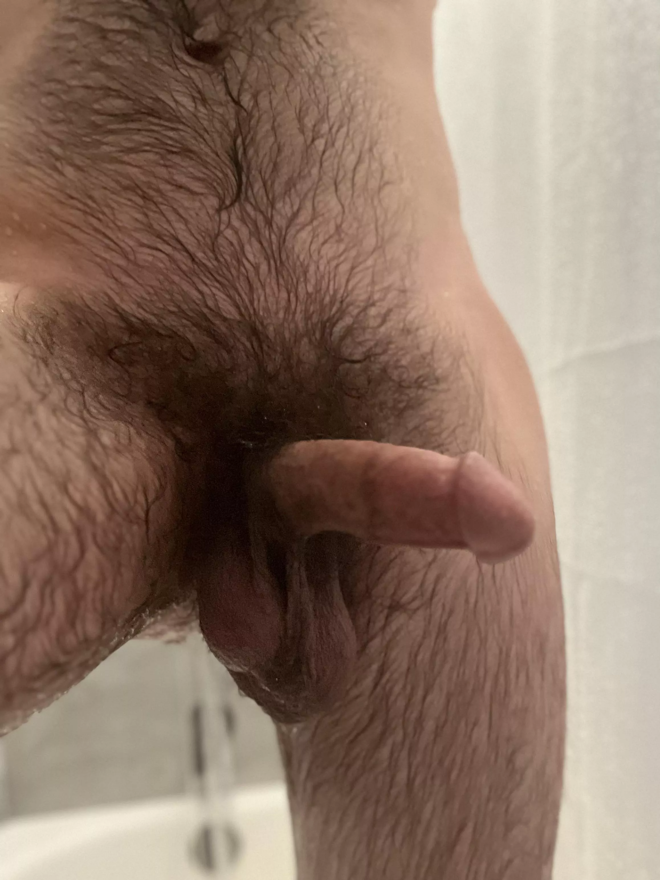 Should I keep the bush? posted by PsychologicalSweet6