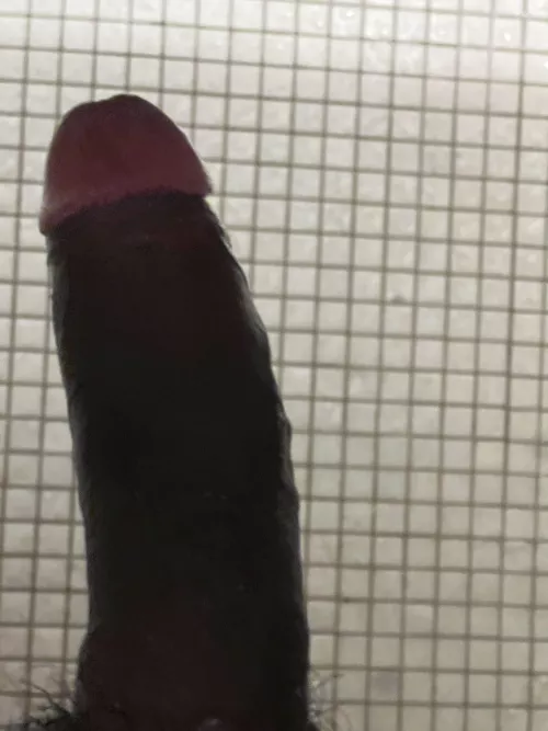 Shower head? by Realistic-Hall8095