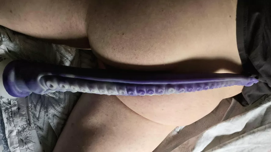 Sinnovator Dagon L is quite a step up... by whatsowhoami