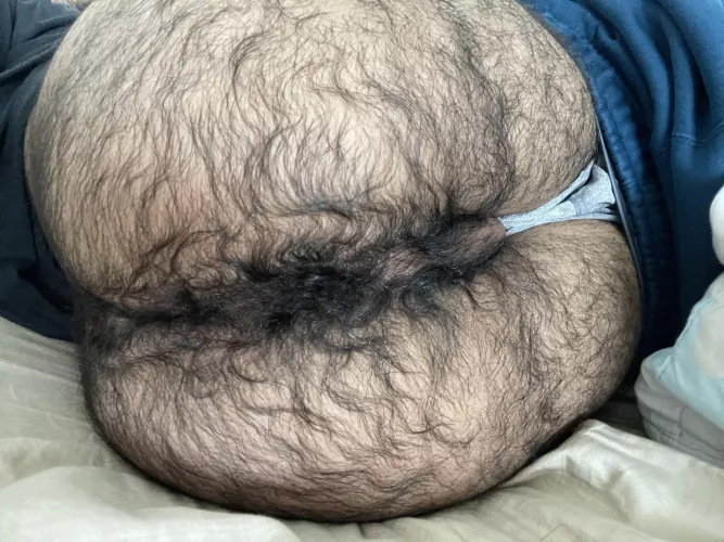 Spread me open by hairyfckbuddy