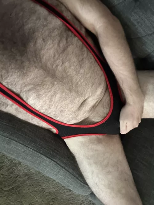 Wanna wrestle? by Parking-Wolf-3325