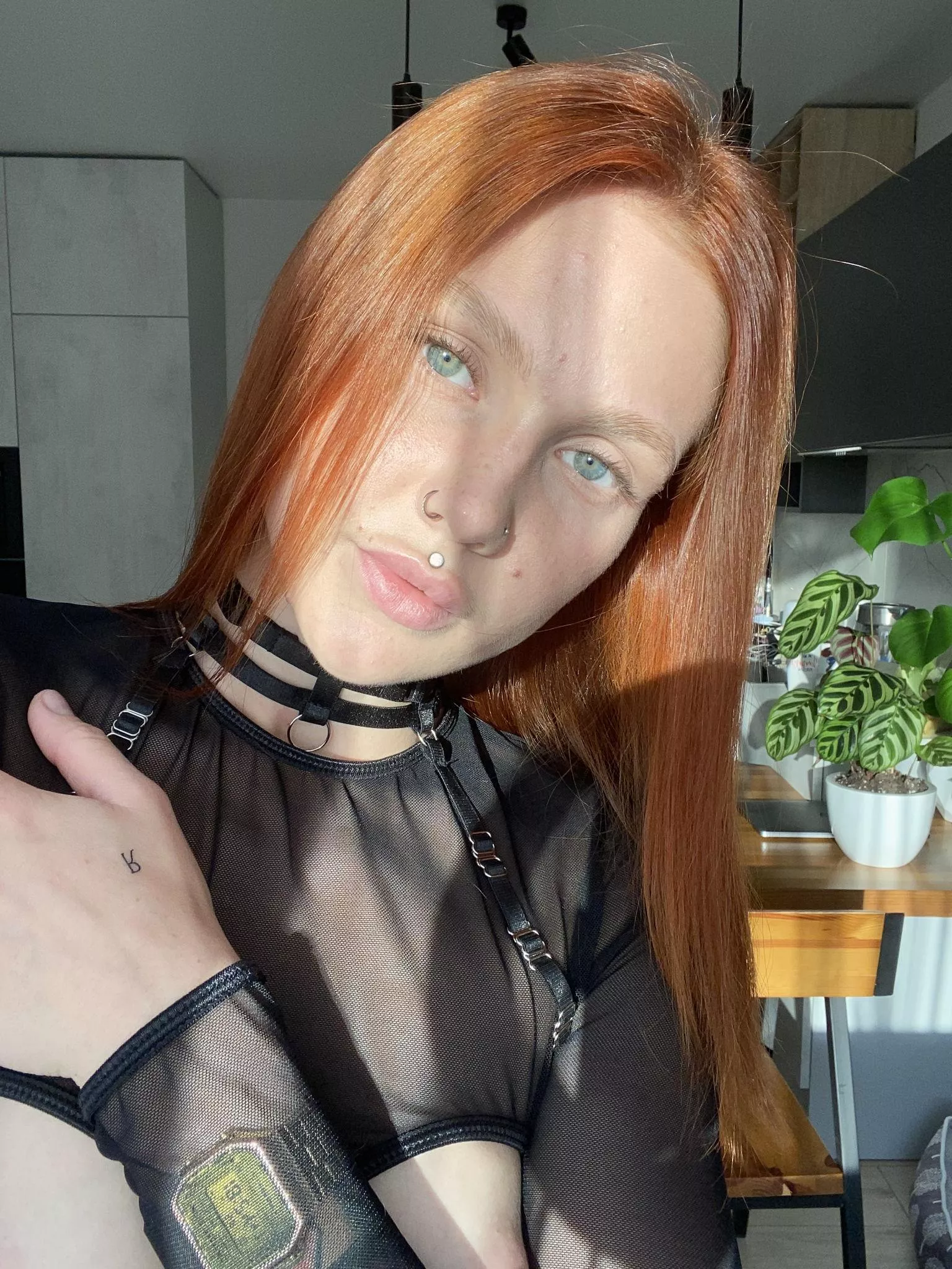 Where would you take me posted by charlottegrab