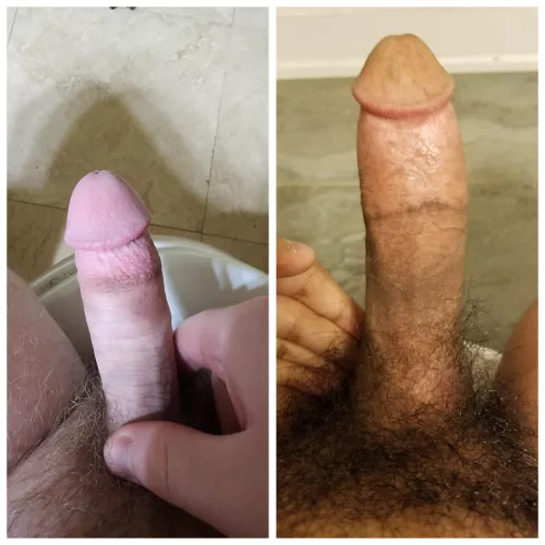 Which one is better? Mine on the left or Username7483828 on the right? by TVDNinaRP