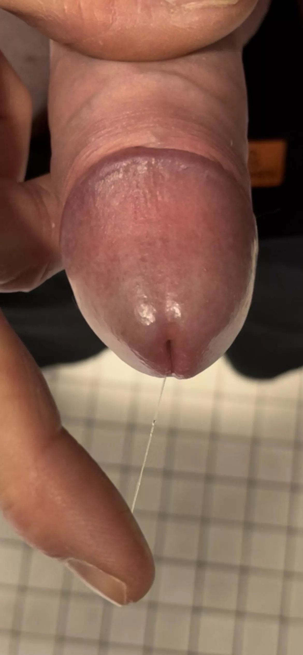 Anticipation posted by QuinnQRD