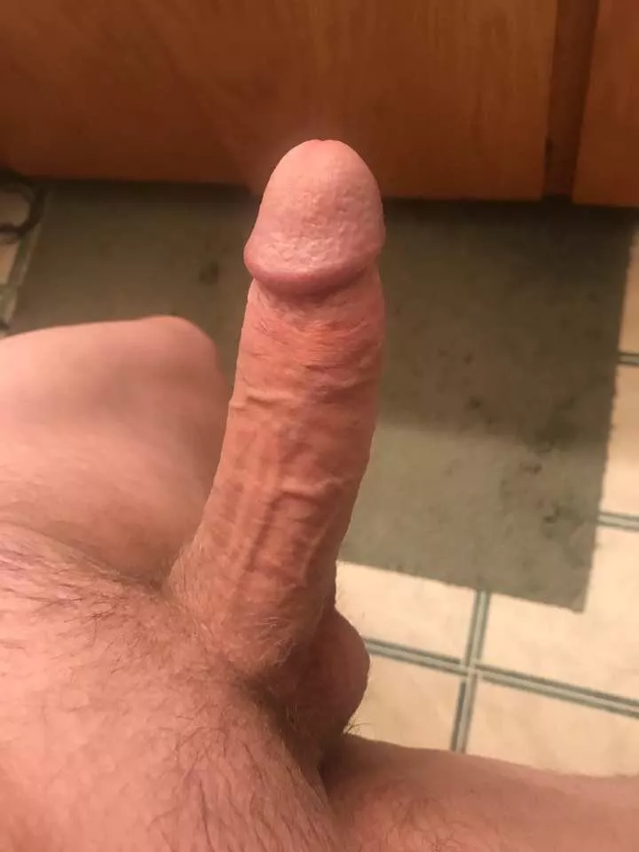 Average size but still wanting attention posted by gpink1927