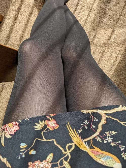 Catching the sun when I can by lonely_chameleon_