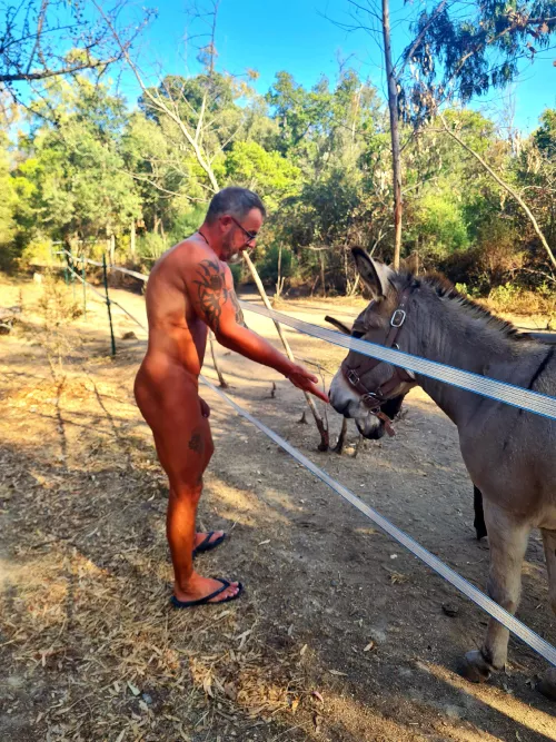 Feed Monkeys by MikeOckssmal