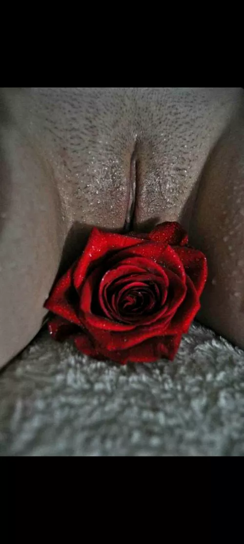 Flowers by TroubledLittleLife