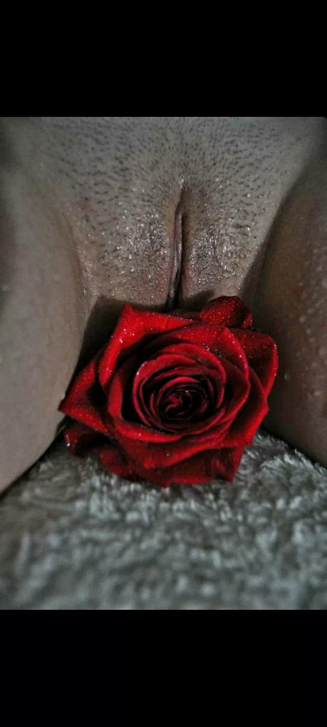 Flowers posted by TroubledLittleLife