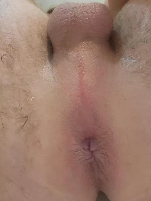 Freshly Shaven and ready for play. by SirDogeDick