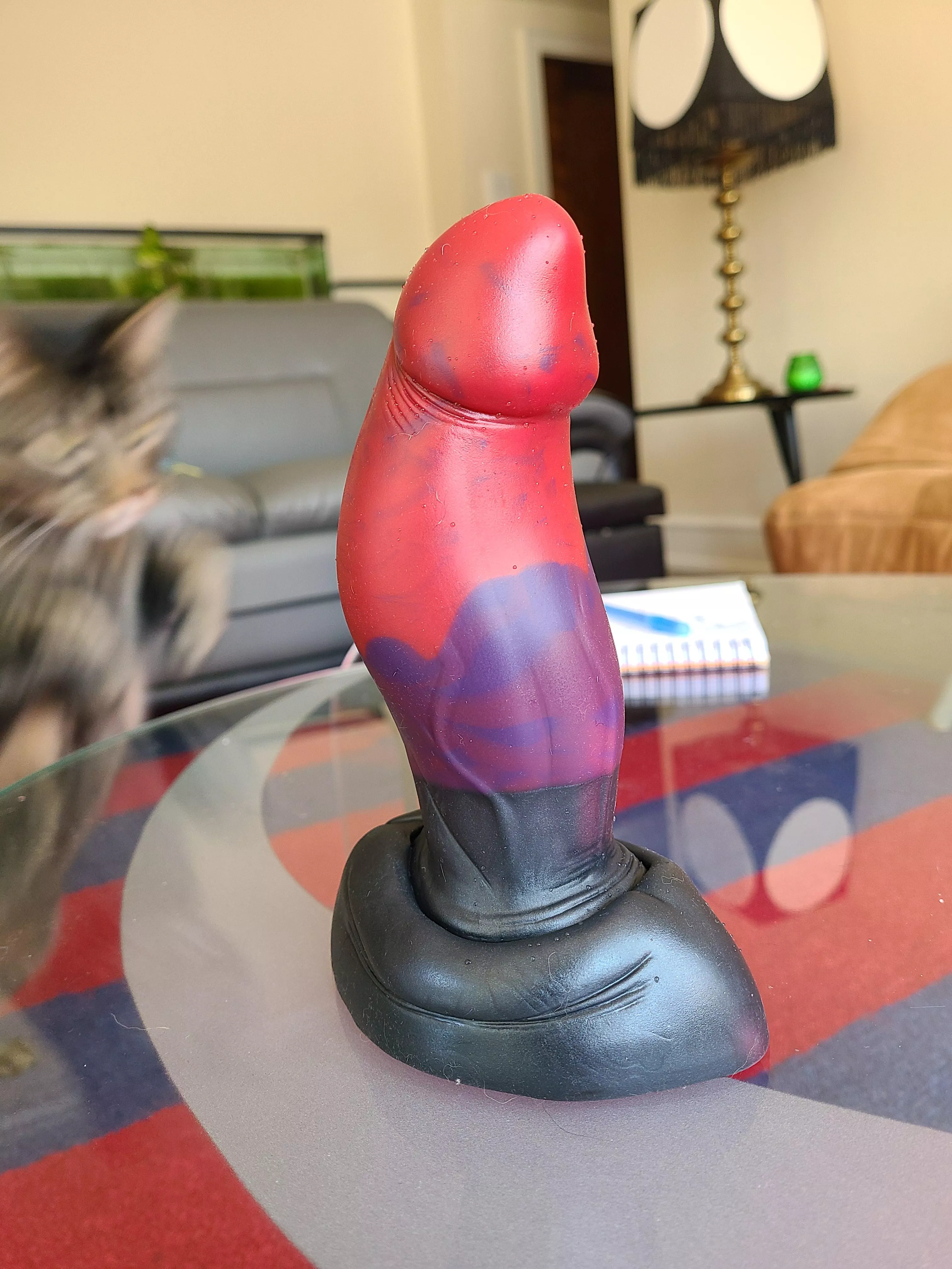 Gorgeous Frankenpour! M/M Blaze (about to be covered in cat hair) posted by diagnosis_onions