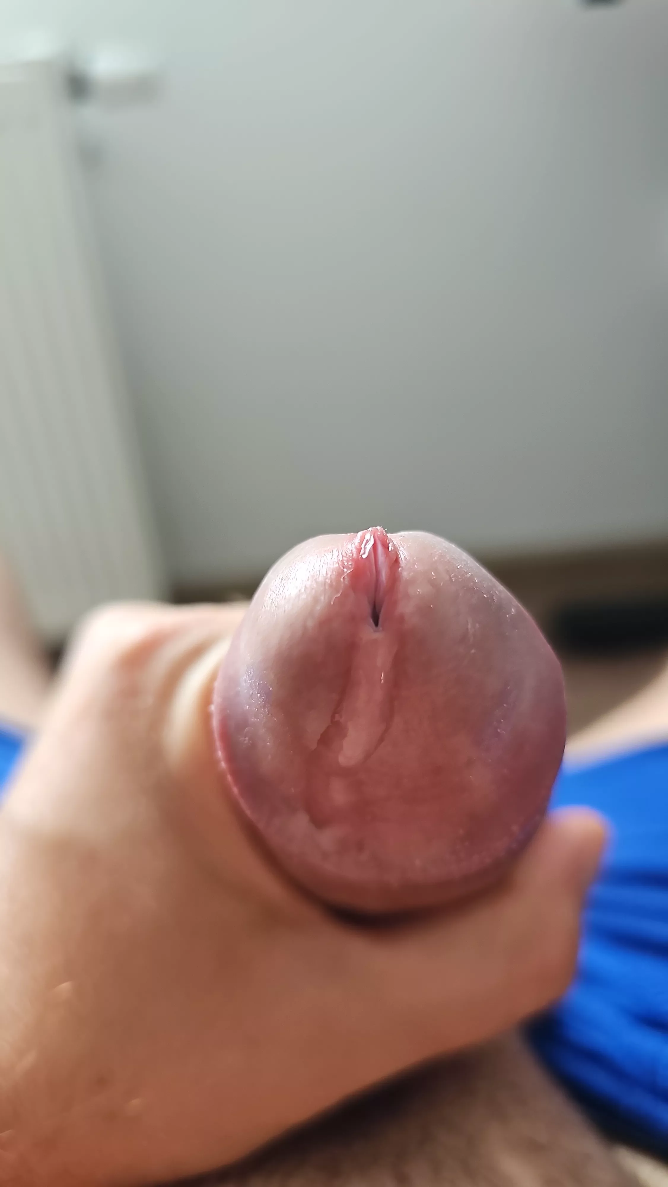 Horny posted by Kitchen-Violinist-82