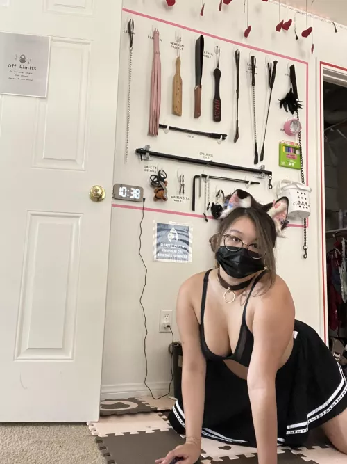 how hard will you pull my collar as i go down on you 🤤 by slutmuttsprout