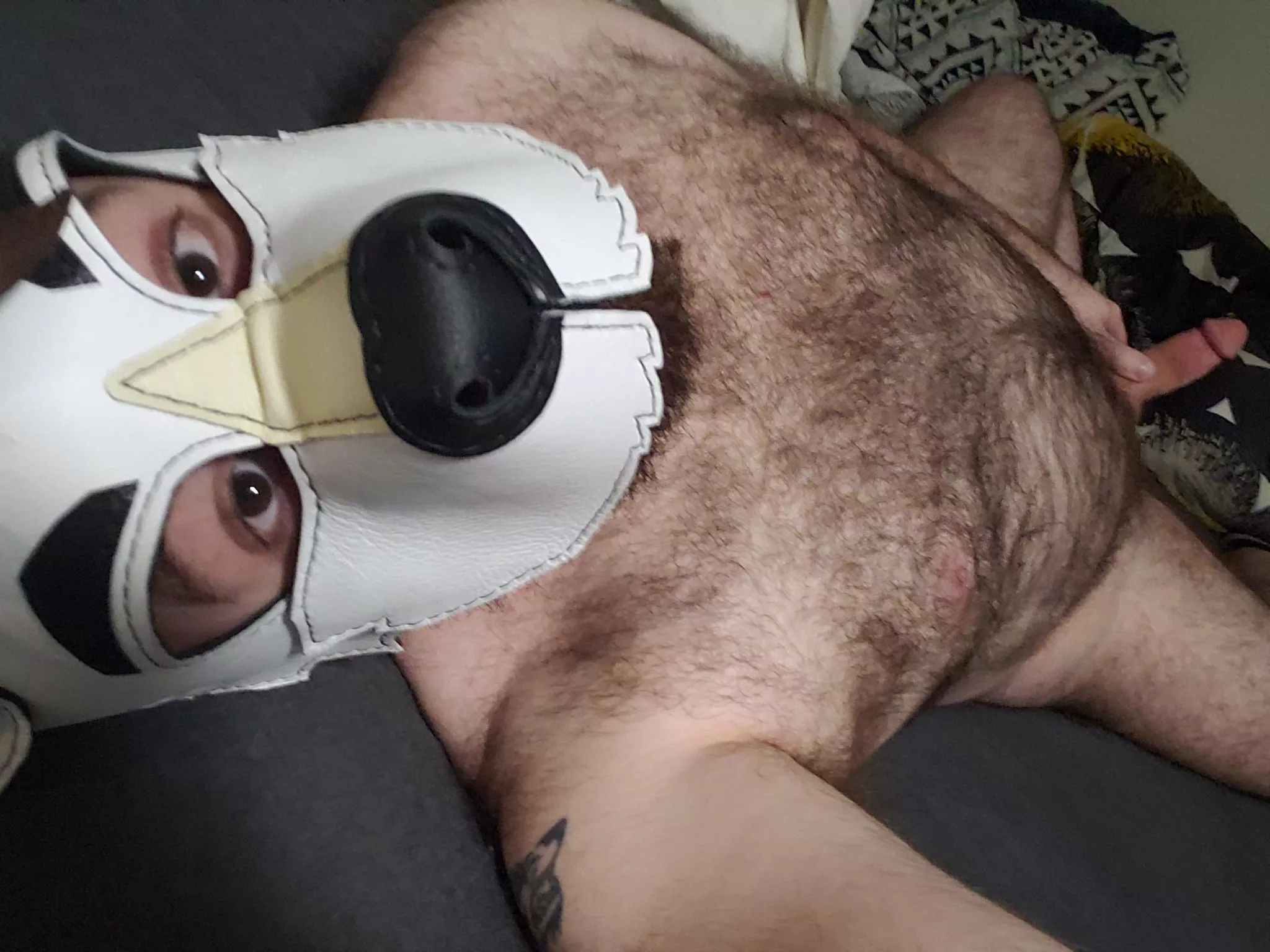 Wolf with a bone for you 💜 posted by sabuteur