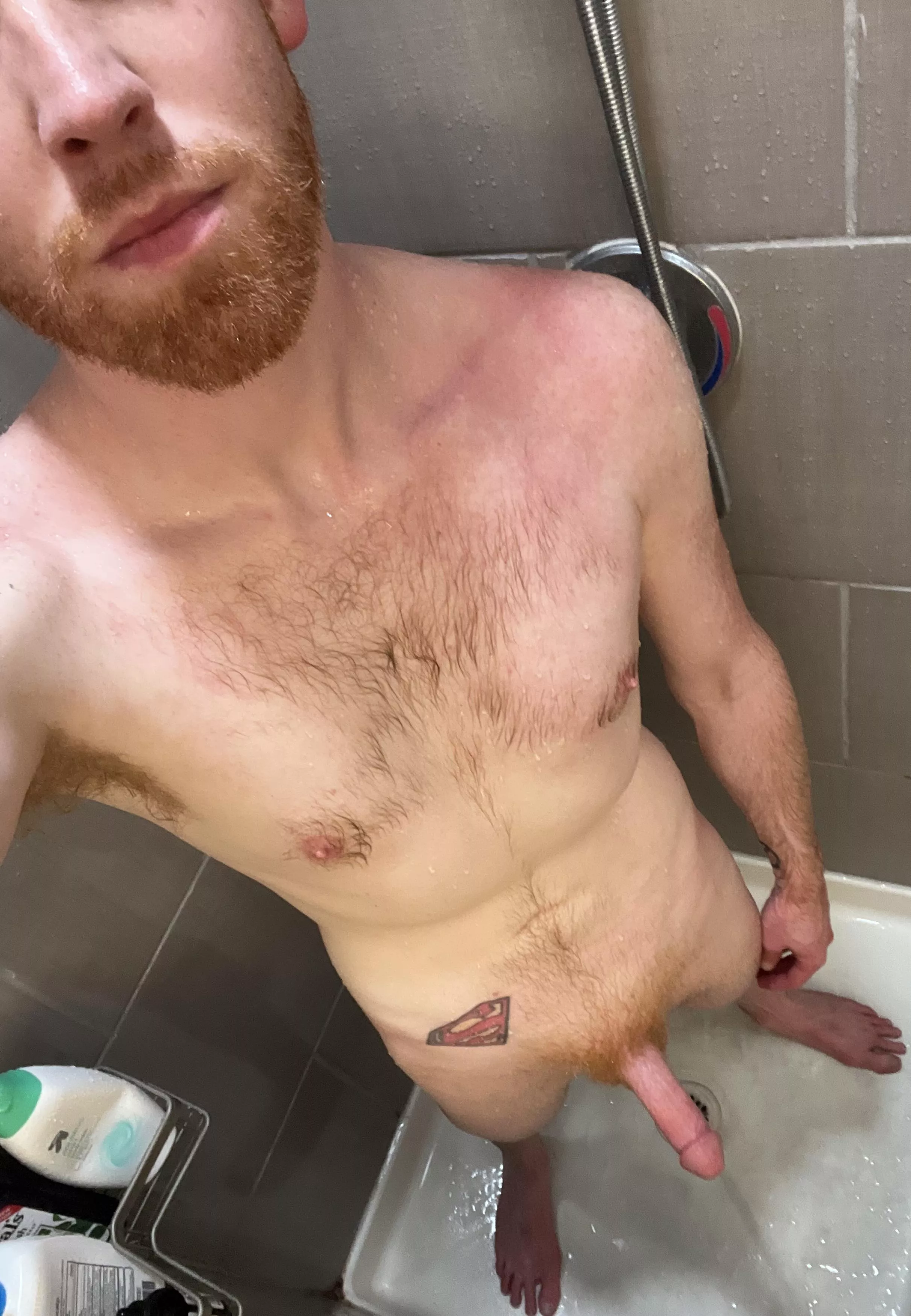 Wood Morning & Happy Friday Fellow Ginger Bros & Ginger Fans. Bi Buddies & Females HMU to Chat. posted by Electrical_Break_408