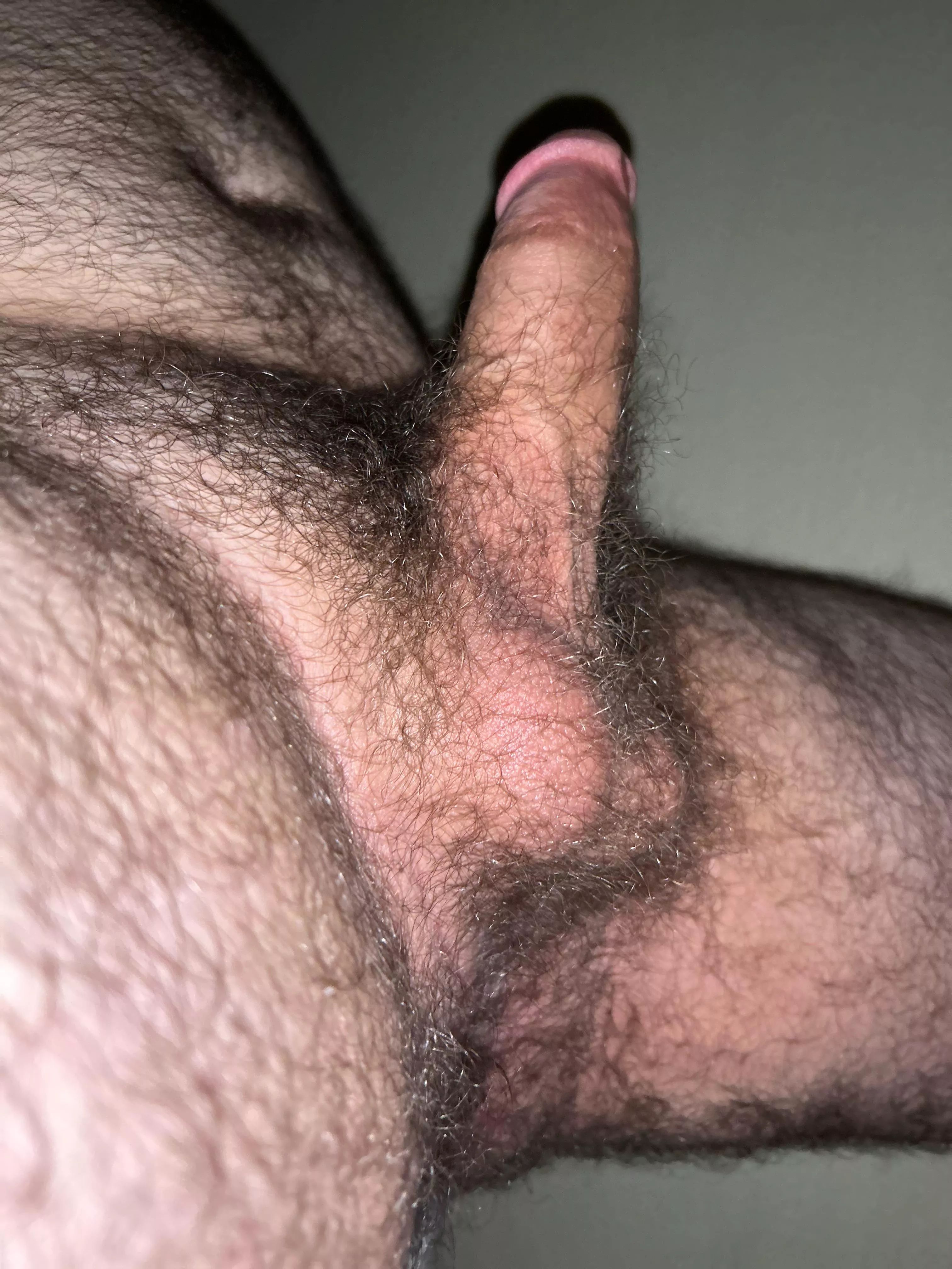 20, looking for bottoms or dudes to jack with. Hmu if you like hairy average dudes. Sc:b_jjbs posted by b_jjbs567