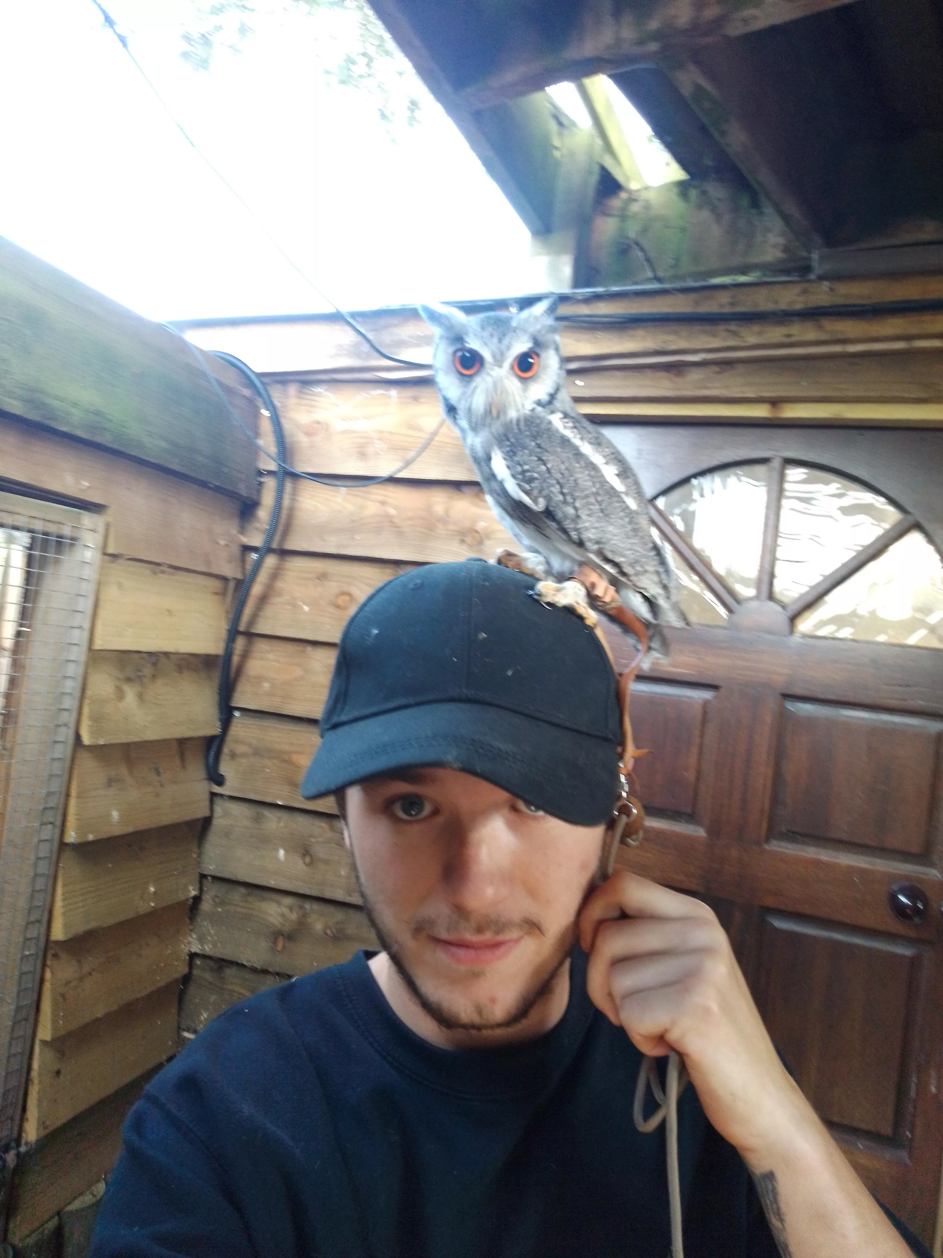 All eyes on you 😝 posted by BrbMakingACuppaT