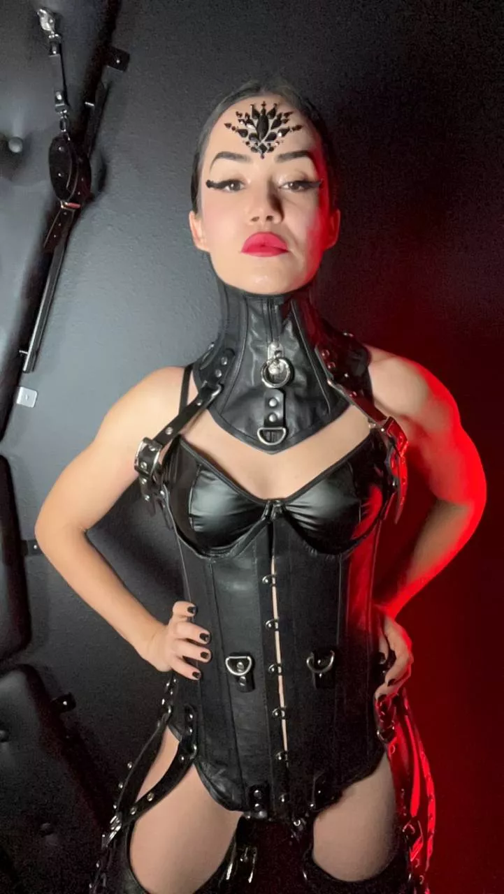 Are you ready for your Domme to degrade you loser? posted by safesweetdreams