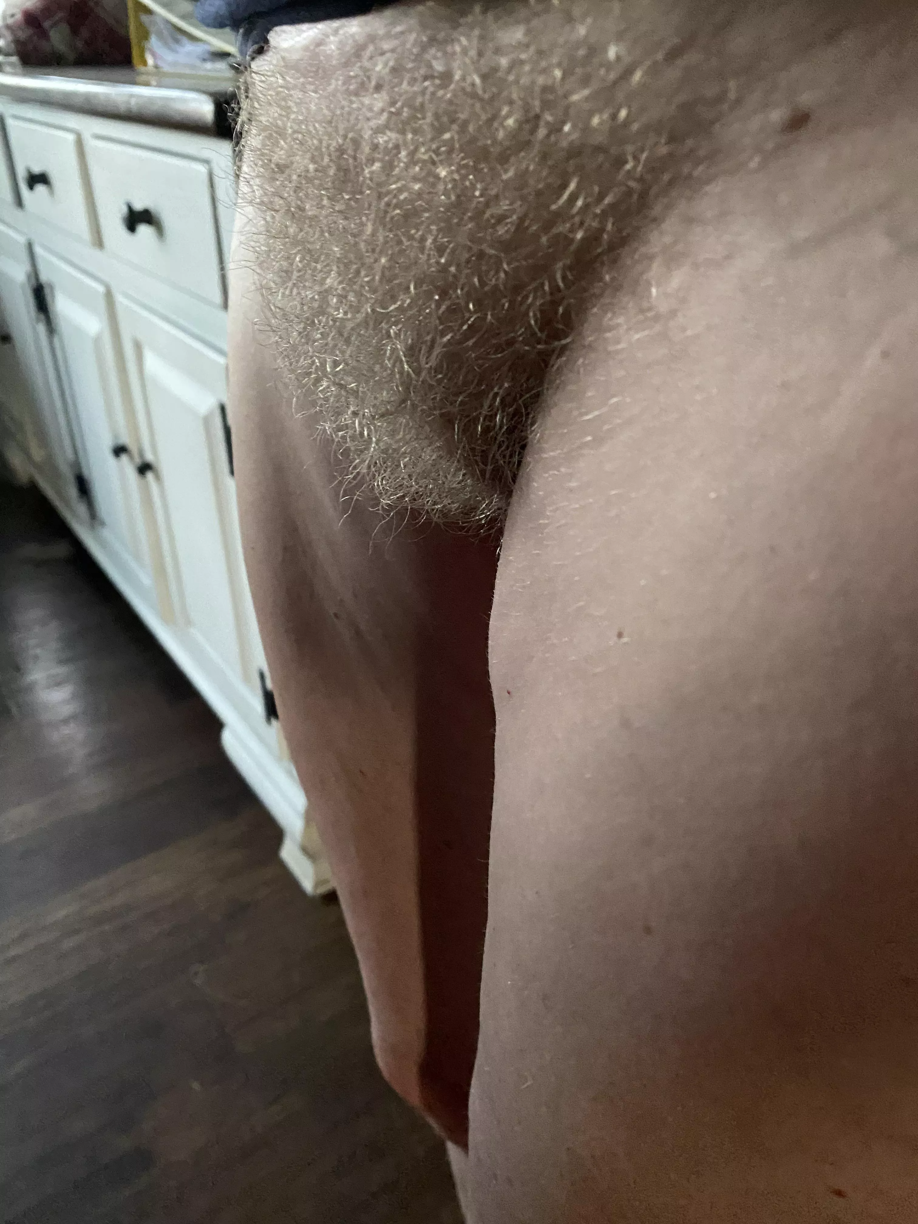 Blonde enough for you? posted by happyb1968