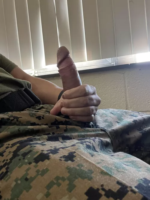 Current session at lunch! I Enjoy stroking to lovely ladies by ElusiveShadows