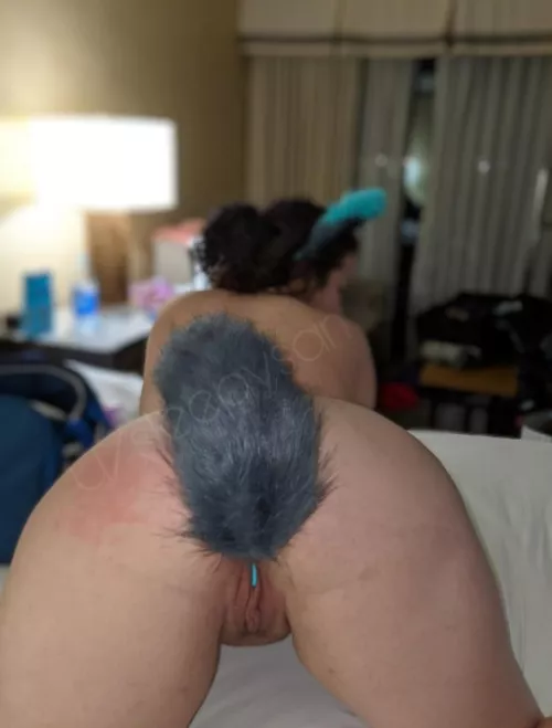 Feeling foxy tonight? [Oc] [f] by sleepysampson