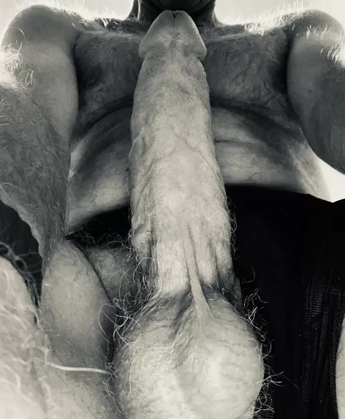 Heavy load ahead (54) by Least_Pain_6771