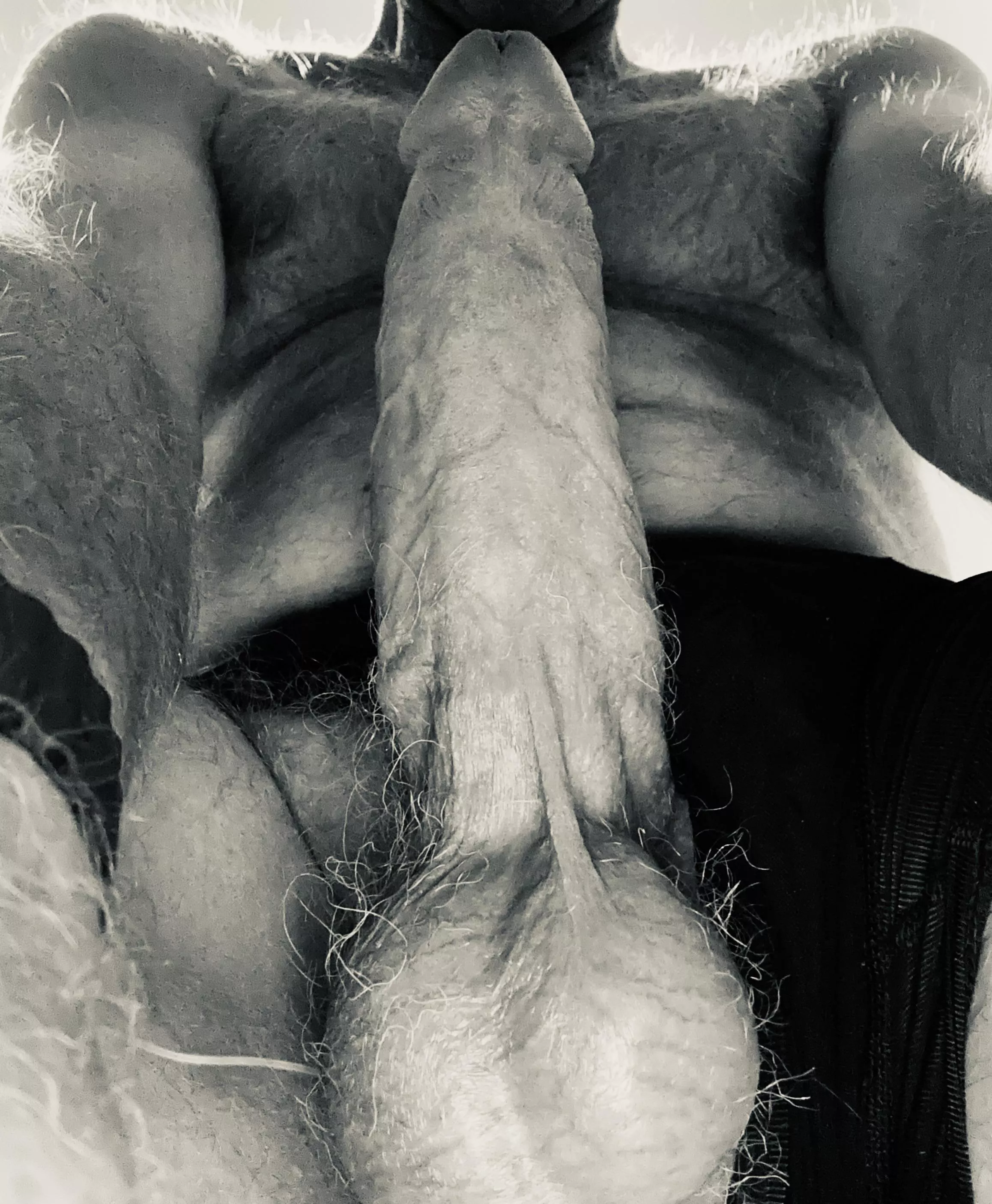 Heavy load ahead (54) posted by Least_Pain_6771