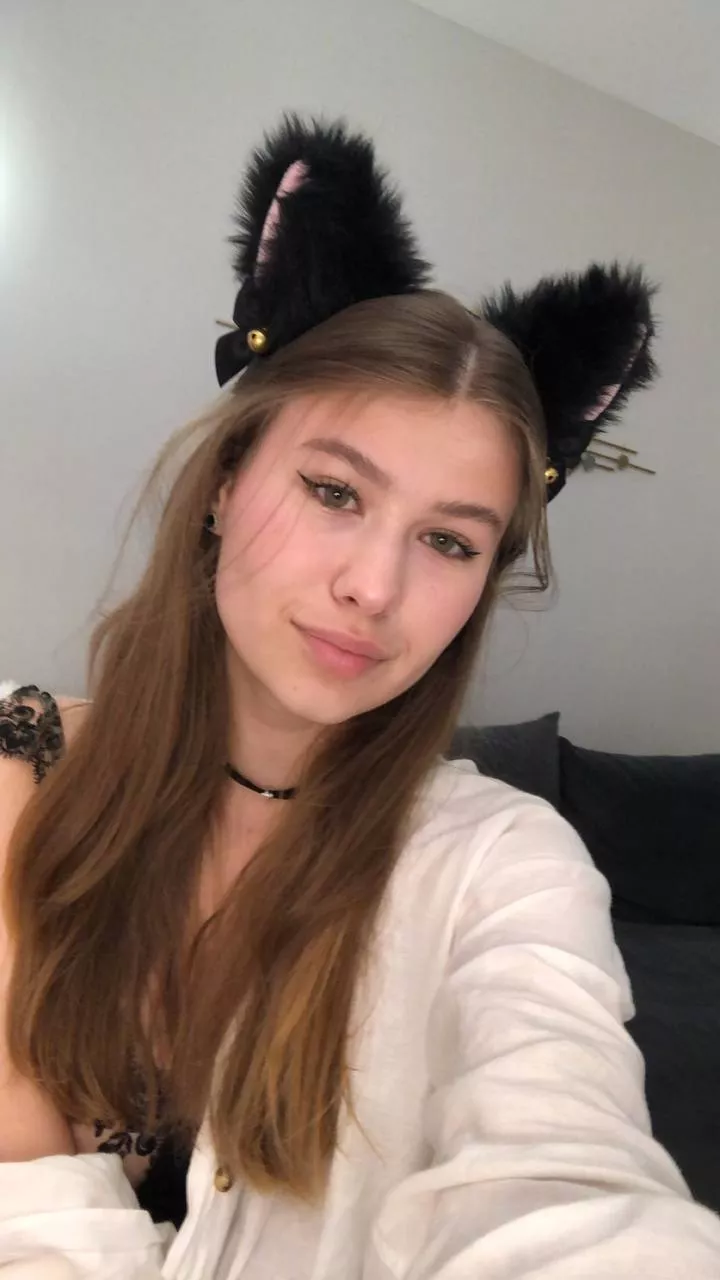 I'm just a kitty trying to purr posted by WantonlyEmbroil