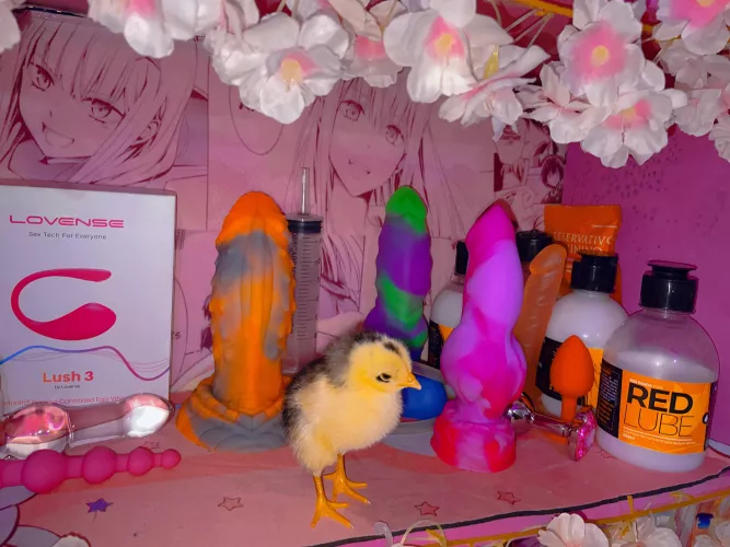 Is your dildo collection nice, varied and colorful?? by momokoplayer