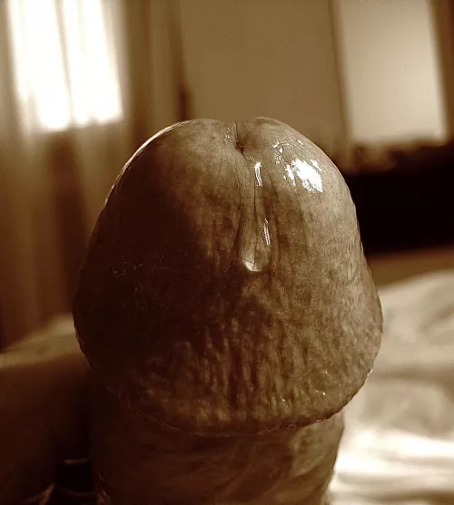 Mestre hotel by Successful-Coat9491