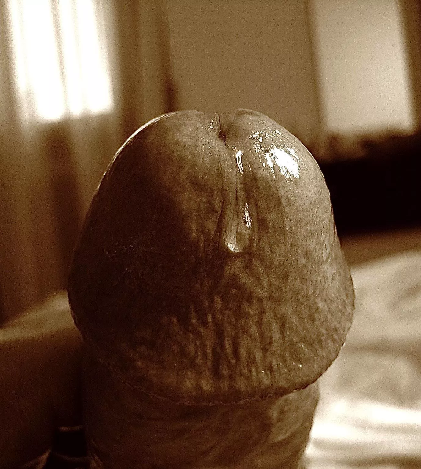 Mestre hotel posted by Successful-Coat9491