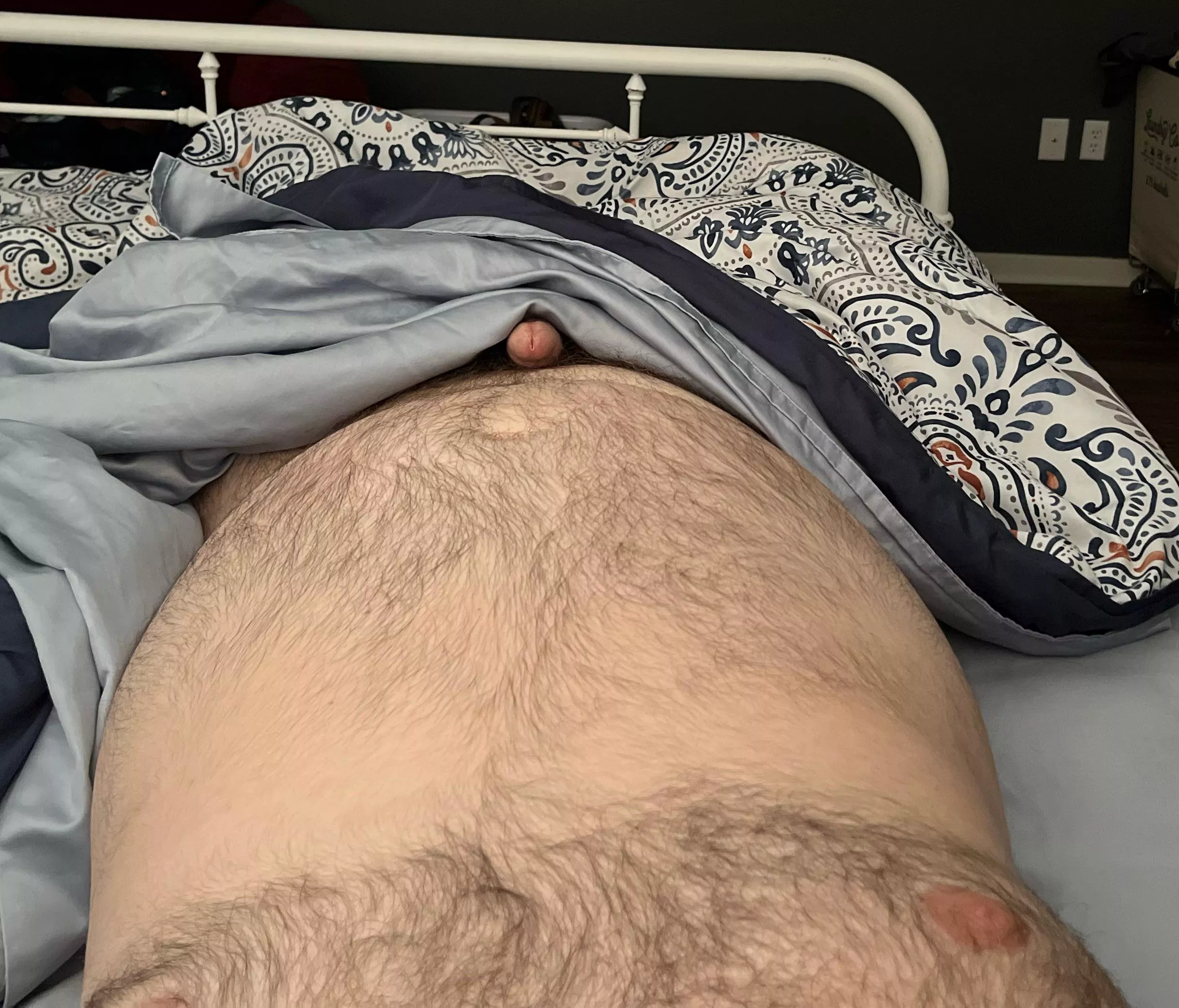 Morning laziness posted by Cubinms39194