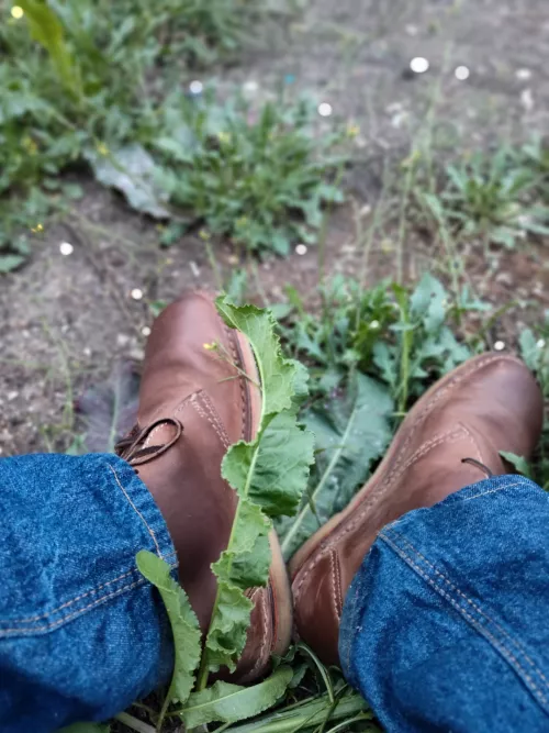 Oh faborg you would be best boots if only your soles weren't made of crepe by Key_Scientist2898