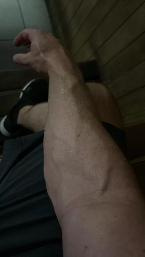 Sauna by magnumdongsimp