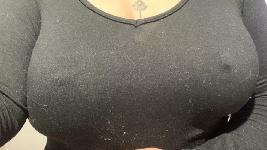 These mini nipples coming out are so cute by GinnyHerrick