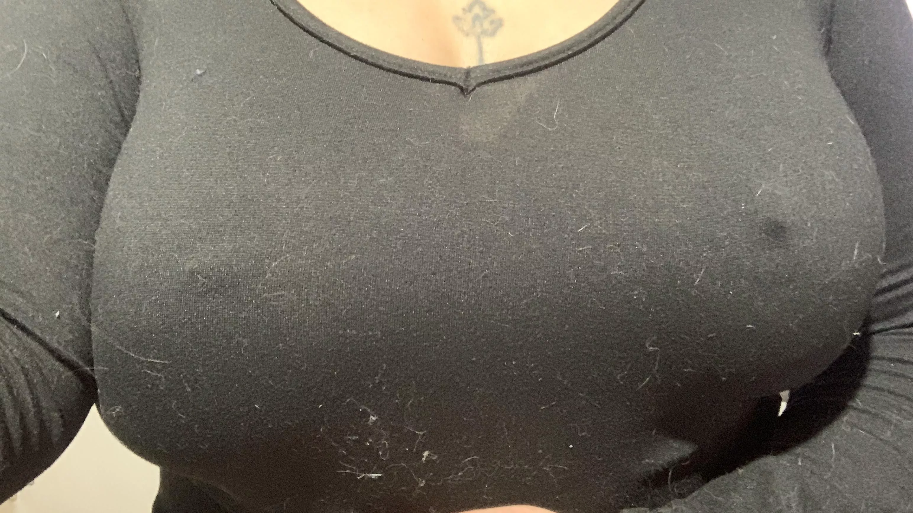 These mini nipples coming out are so cute posted by GinnyHerrick