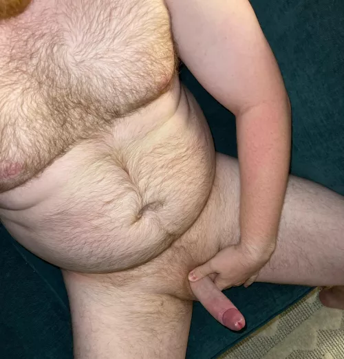 What’s would you do with this British ginger? by Defiant-Hamster-6777